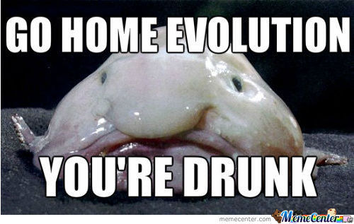 Hilarious WTF Meme Go Home Evolution You Are Drunk