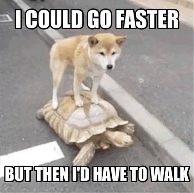 I Could Go Faster But Then I'd Have To Walk Funny Lazy Memes