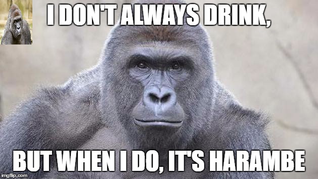 I Don't Aways Drink But When I Do, It's Harambe Memes