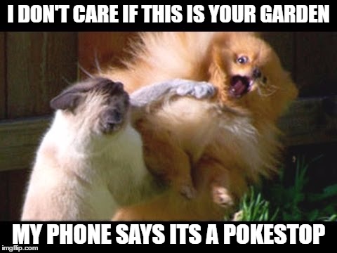 I Don't Care If This Is Your Garden My Phone Says Its A Pokemon Go Memes