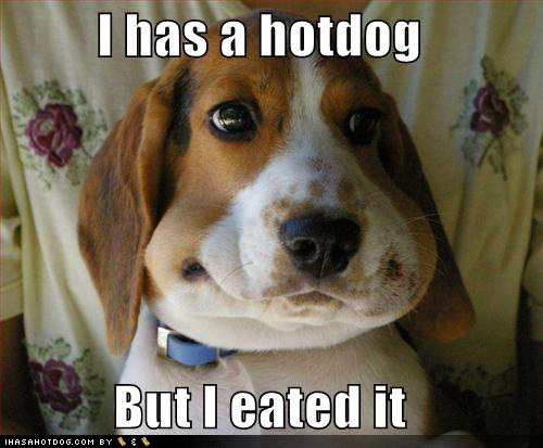 I Has A Hotdog But I Eated It Funny WTF Memes