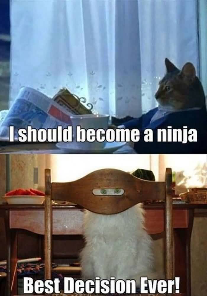 I Should Become A Ninja Best Decision Ever Funny Ninja Memes Graphic