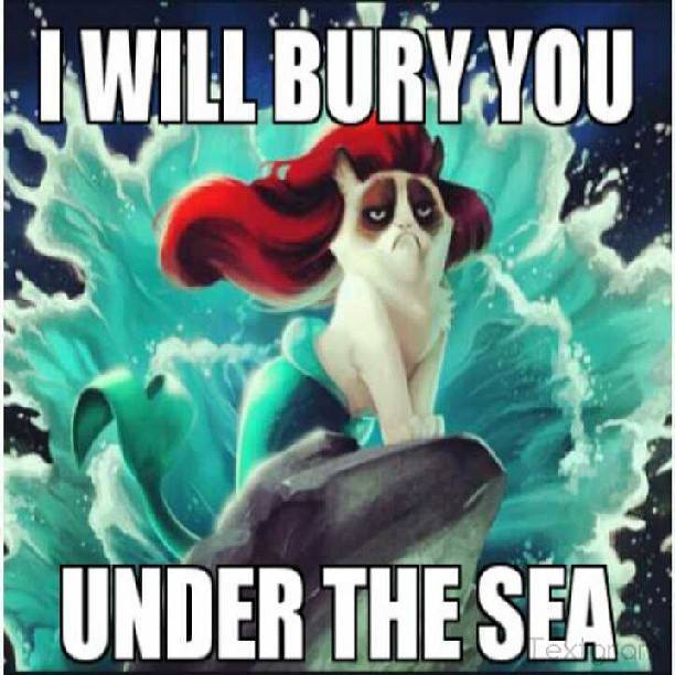 I Will Bury You Under The Sea Grumpy Cat Meme