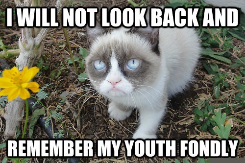 I Will Not Look Back And Remember My Youth Fondly Grumpy Cat Memes Photo