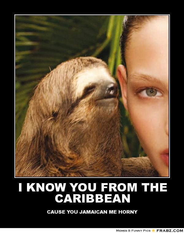 I know you from the caribbean Funny Sloth Rape Memes Images
