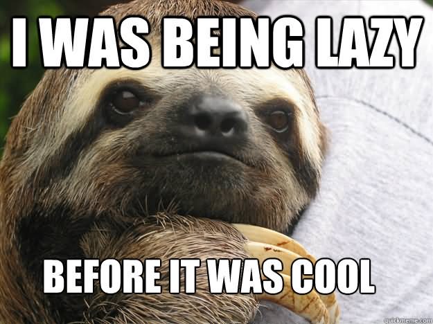 I was Being Lazy Before It Was Cool Funny Lazy Memes