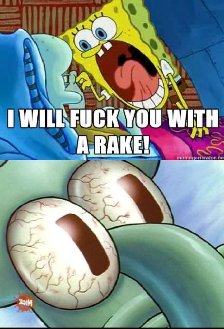I will fuck you with a rake Funny Squidward Memes