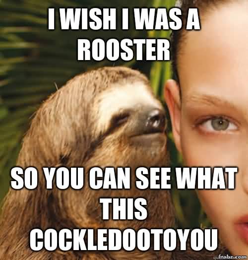 I wish i was a rooster so you can see what this Funny Sloth Rape Memes Images