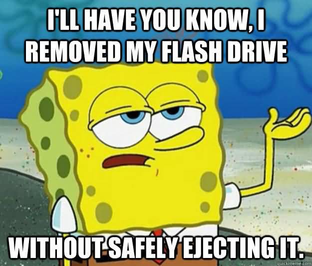 I'll have you know, i removed my flash drive wothout safely ejecting it Funny Spongebob Memes