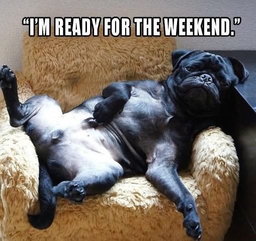 I'm Ready For The Weekend Funny Lazy Memes