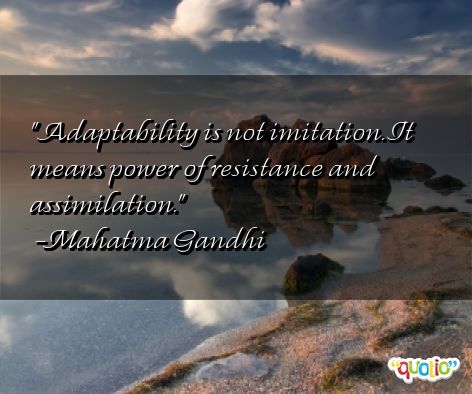 Inspirational Adaptability Quotes