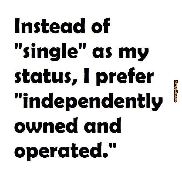 Instead of single as my status,i prefer independently owned Funny Single Memes