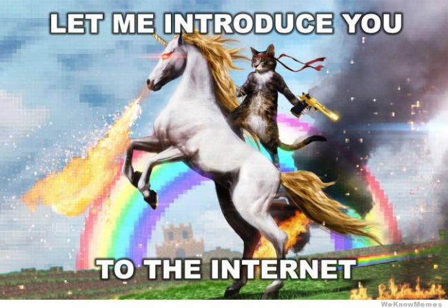Let Me Introduce You To The Internet Internet Meme