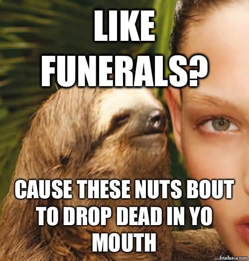 Like funerals cause these nuts bout to drop dead in yo mouth Funny Sloth Rape Memes Graphics