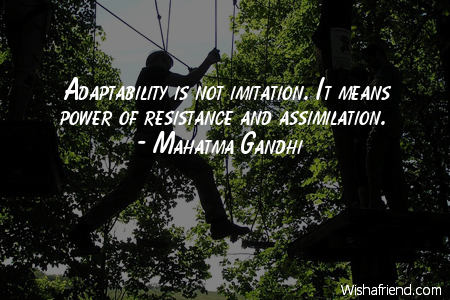Little Adaptability Quotes