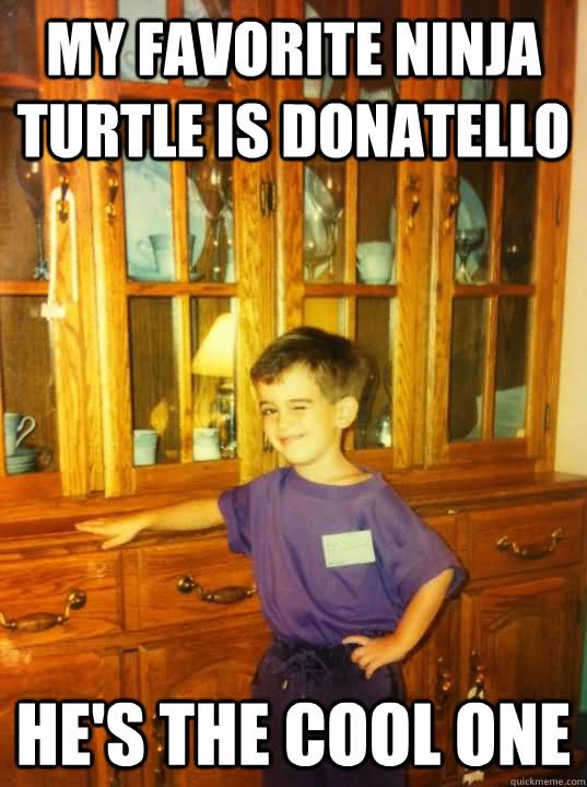 My Favorite Ninja Turtle Is Donatello Hes The Cool One Funny Ninja Memes Graphic