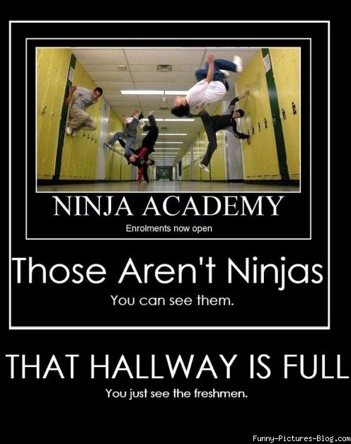 Ninja Academy Those Arent Ninjas That Hallway Is Full Funny Ninja Memes