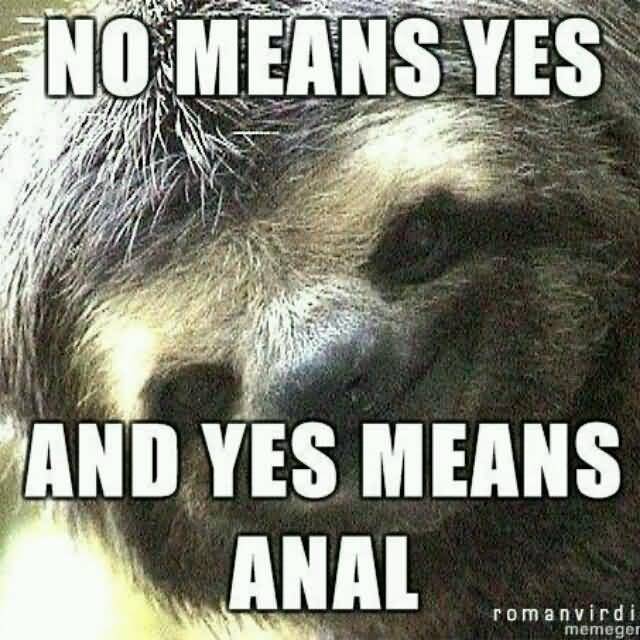 No means yes and yes means anal Funny Sloth Rape Memes Graphics
