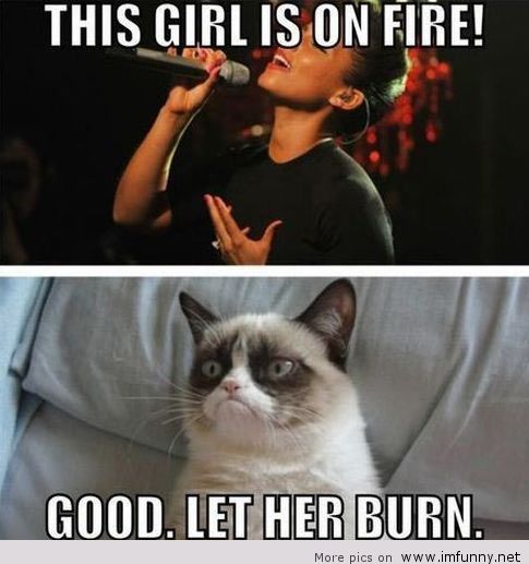 This Girl Is On Fire Good Let Her Burn Grumpy Cat Meme