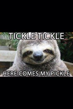 Tickle tickle here comes my pickle Funny Sloth Rape Memes Images