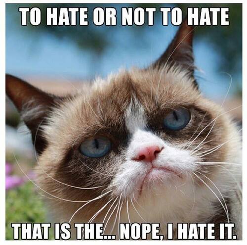To Hate Or Not To Hate That Is The... Nope I Hate It Grumpy Cat Meme