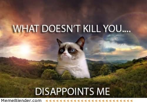 What Doesnt Kill You Disappoints Me Grumpy Cat Meme