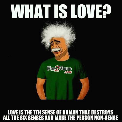 What is love love is the 7th sence of human that destroy all six senses Love Memes