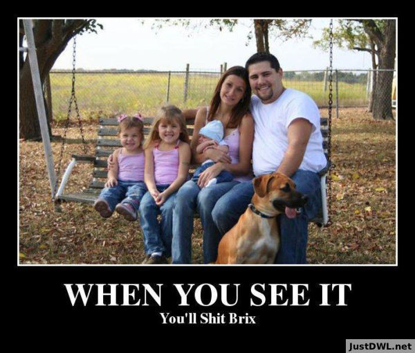 When You See It You Will Brix Funny WTF Memes