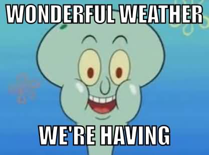 Wonderful weather we're having Funny Squidward Memes