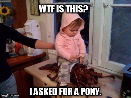 Wtf Is This I Asked For A Pony Funny WTF Memes