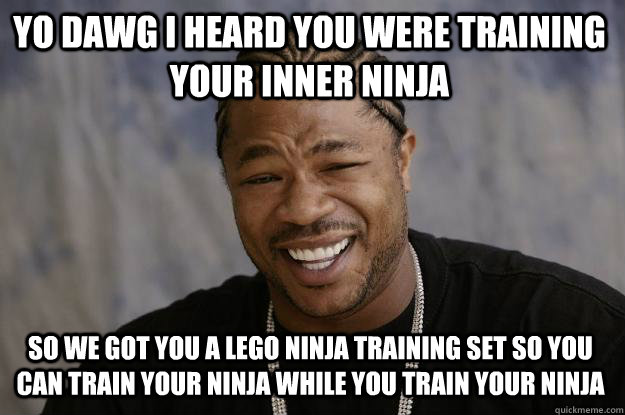 Yo Dawg I Heard You Were Training Your Inner Ninja Funny Ninja Memes Graphic