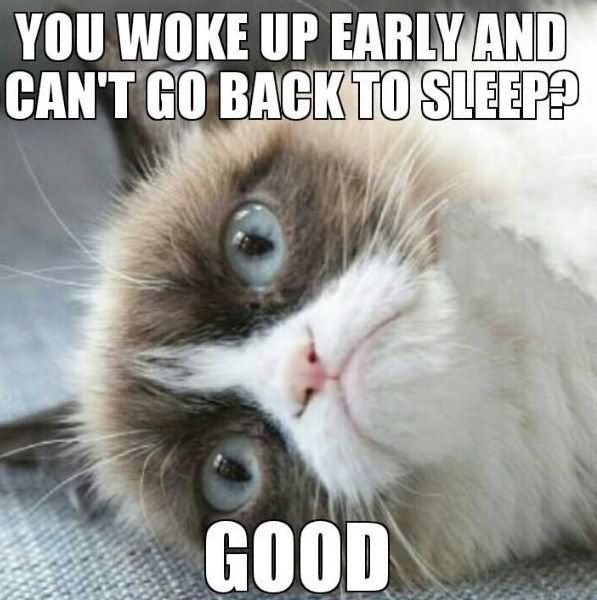 You Woke Up Early And Cant Go Back To Sleep Good Grumpy Cat Meme