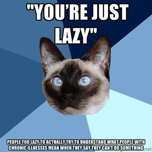 Lazy Person Meme