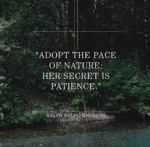 Adopt The Pace Of Nature Mother Nature Quotes