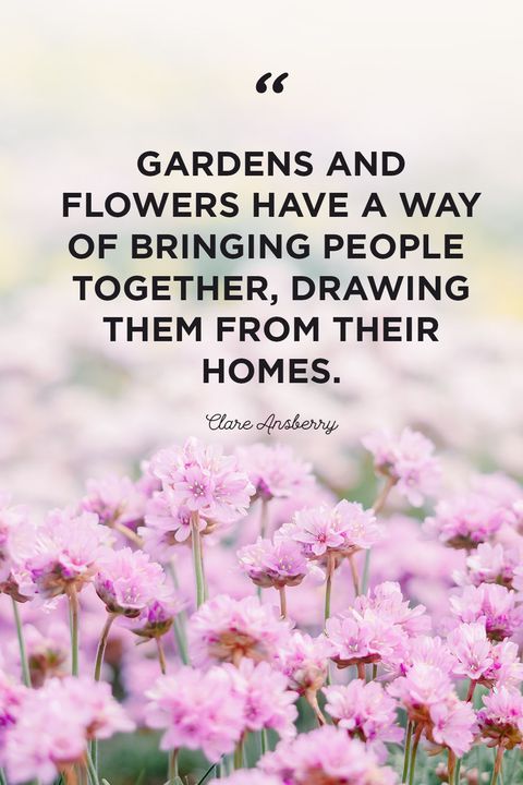 Gardens And Flowers Have A Way Cute Love Flower Quotes