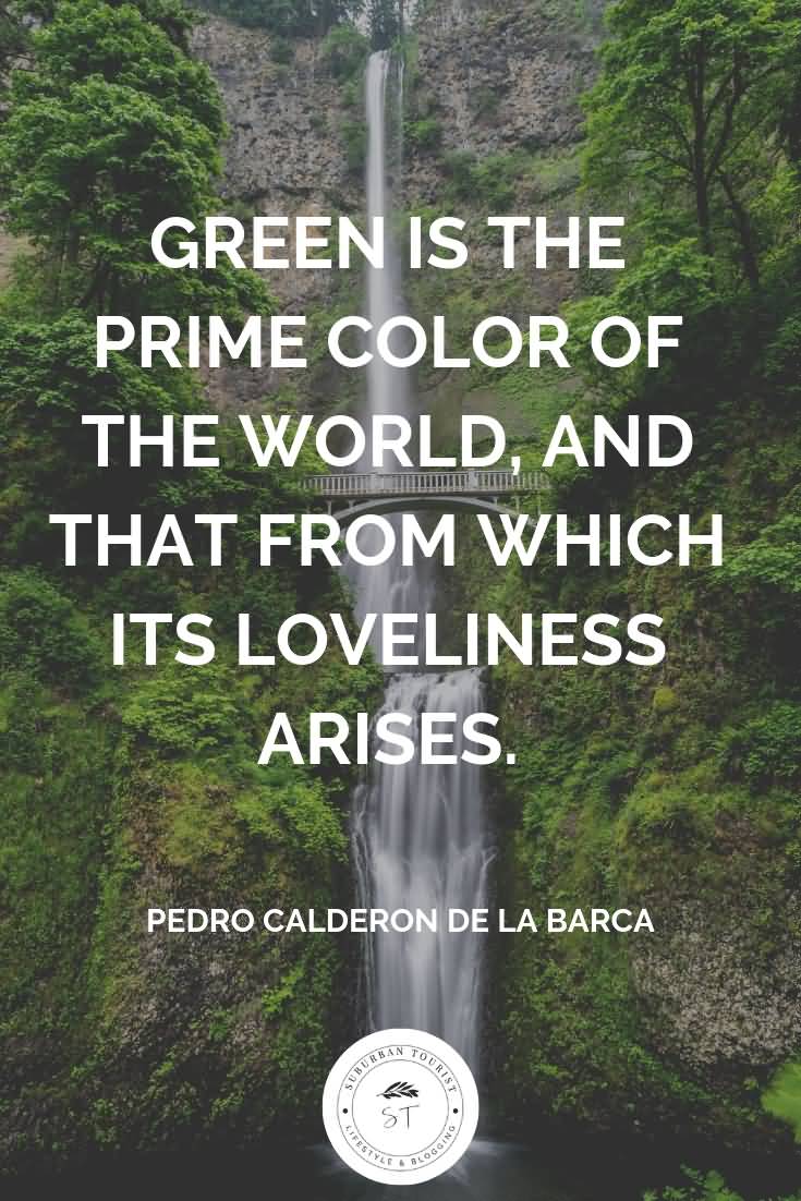 Green Is The Prime Color Funny Nature Quotes