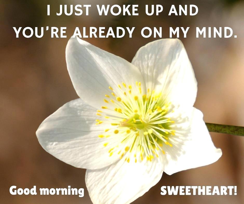 I Just Woke Up Cute Love Flower Quotes