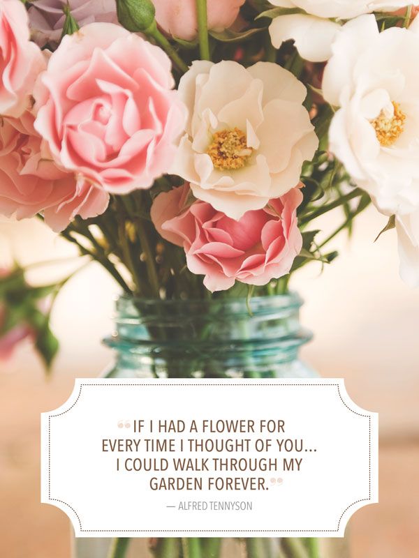 If I Had A Flower Cute Love Flower Quotes