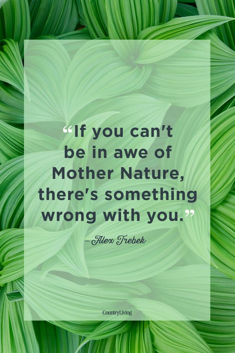 If You Can't Be In Mother Nature Quotes