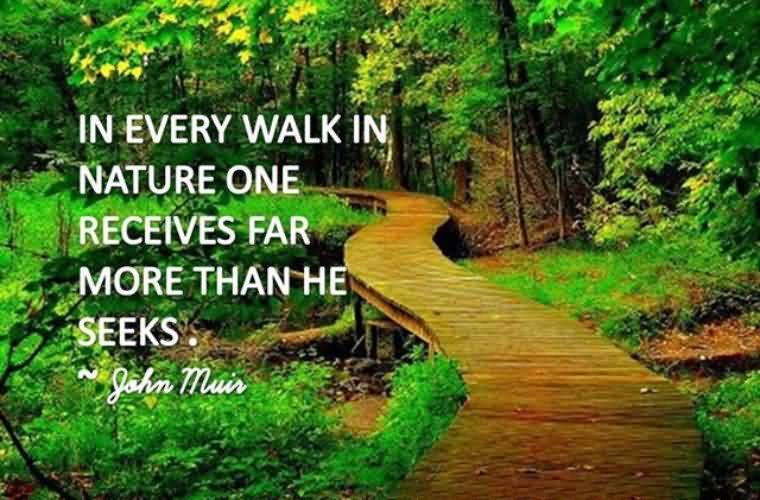 26 Very Funny Nature Quotes You Must Read | QuotesBae