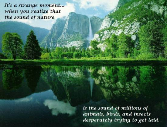 It's A Strange Moment When Funny Nature Quotes