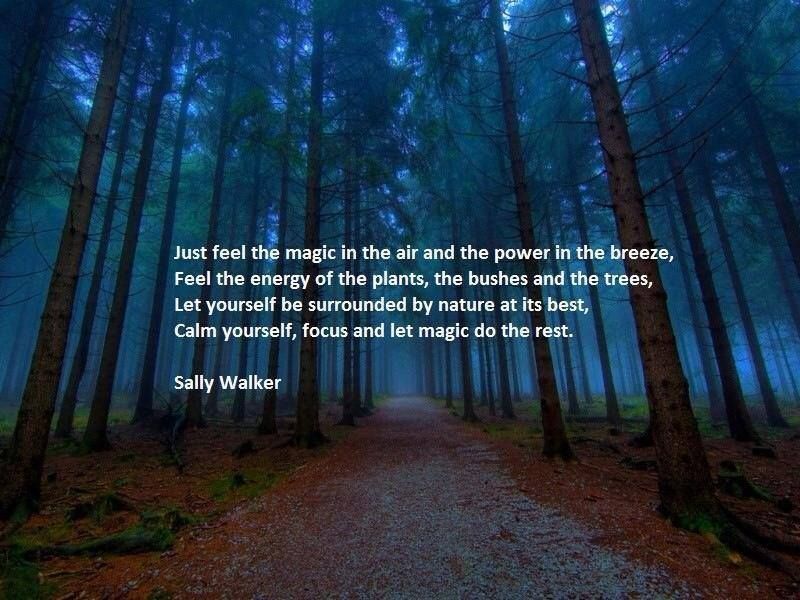 Just Feel The Magic In Mother Nature Quotes
