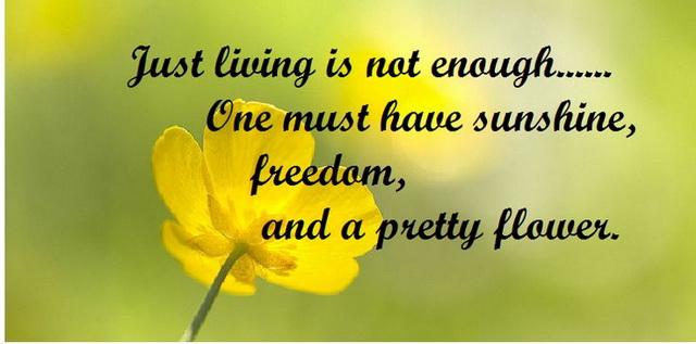 Just Living Is Not Enough Cute Love Flower Quotes