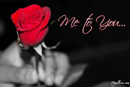 Me To You Cute Love Flower Quotes