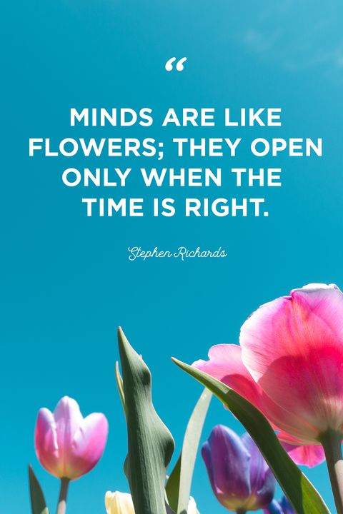 Minds Are Like Flowers Cute Love Flower Quotes