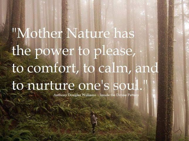 Mother Nature Has The Mother Nature Quotes