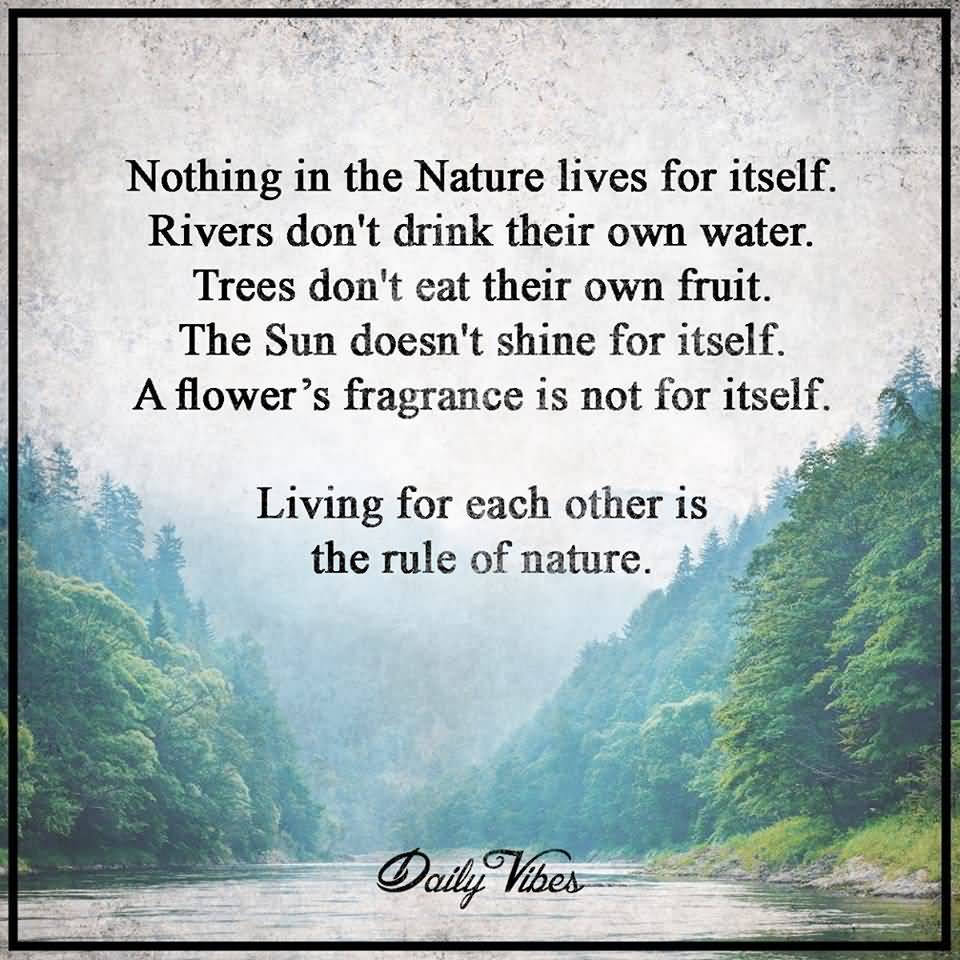 Nothing In The Nature Lives Mother Nature Quotes