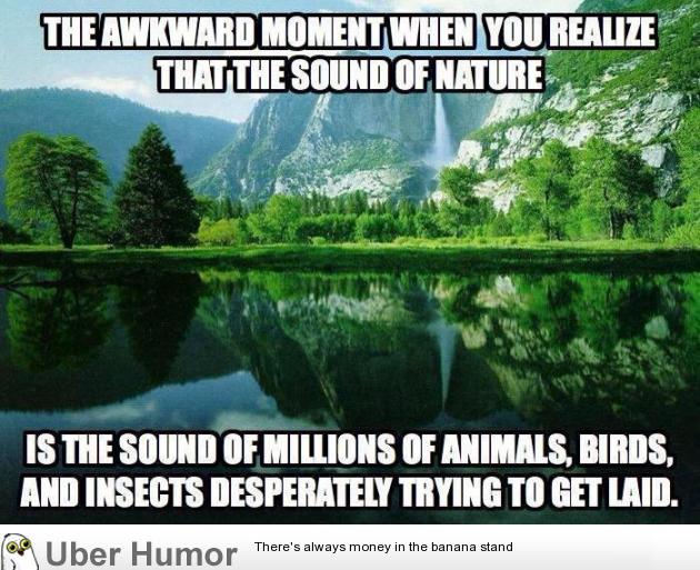 The Awkward Moment When You Funny Nature Quotes