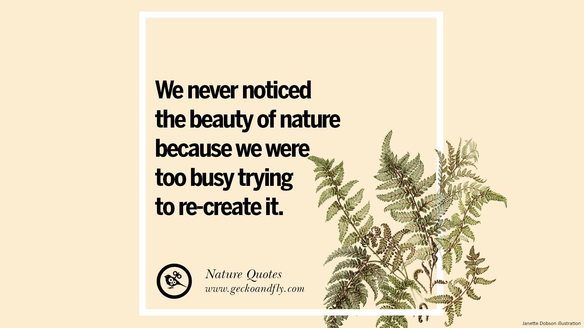 We Never Noticed The Beauty Mother Nature Quotes