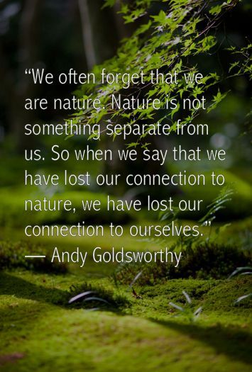 We Often Forget That We Mother Nature Quotes